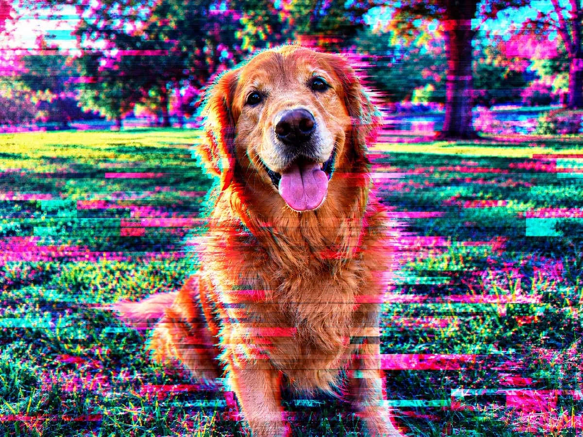 After: Golden retriever in a park in Glitch Art style